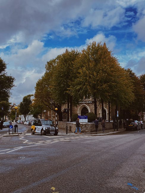 A view of a street corner with a large deciduous tree featuring dense, green and golden-brown foliage dominating the scene. Behind the tree, there is a brick building with white accents and an arched